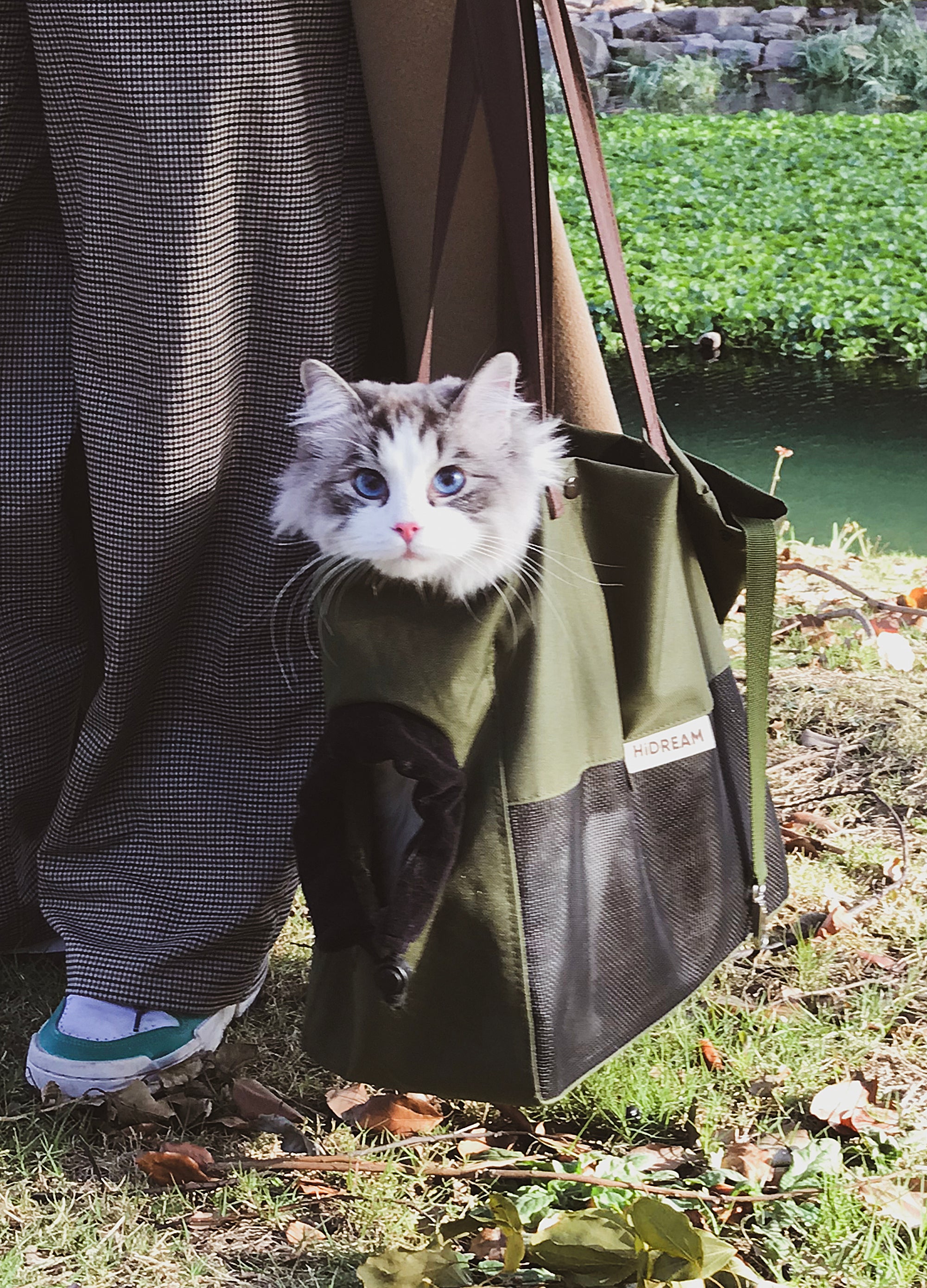 How to get a scared cat into carrier Pet Supplies,Pet Stores