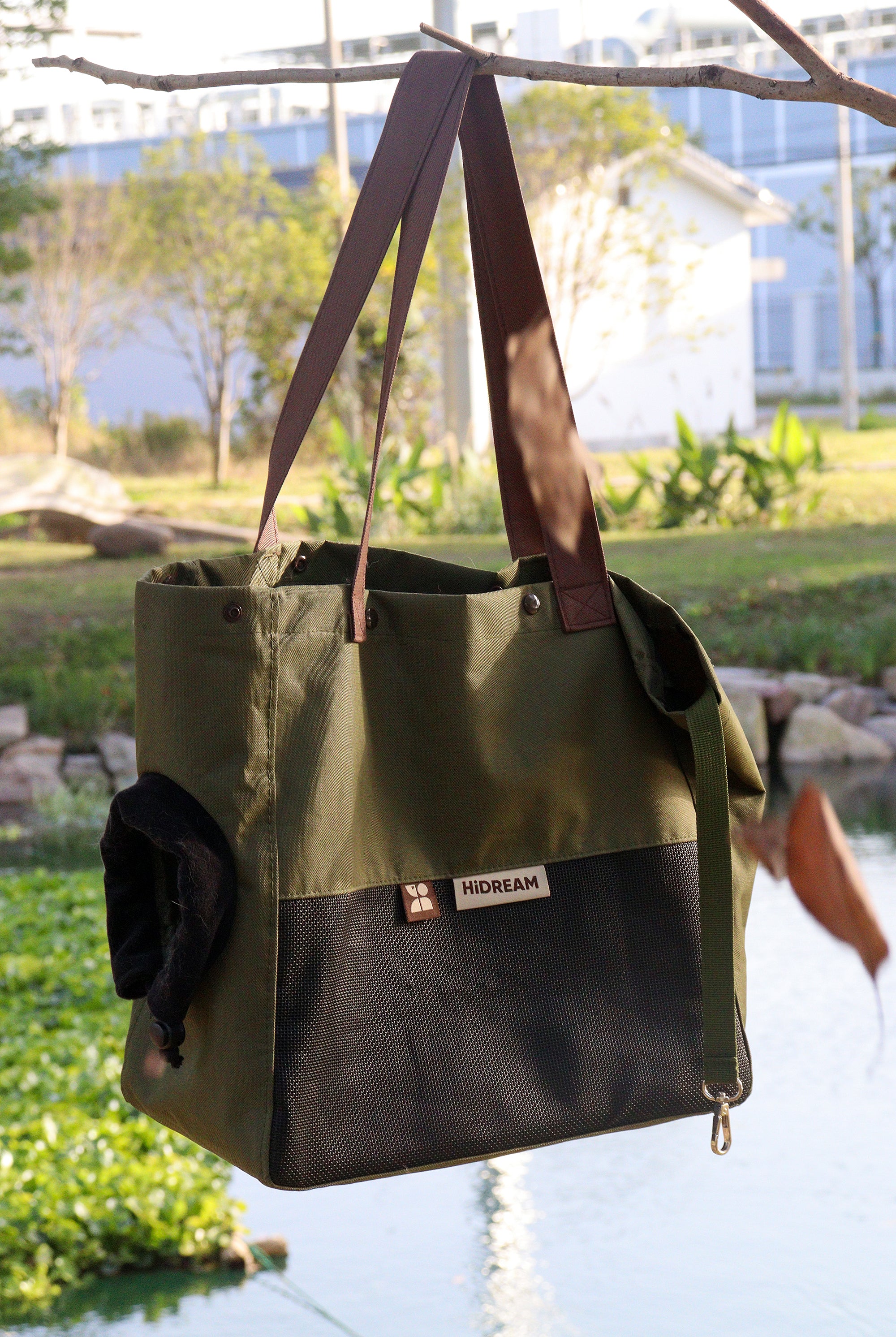 How to get a scared cat into carrier