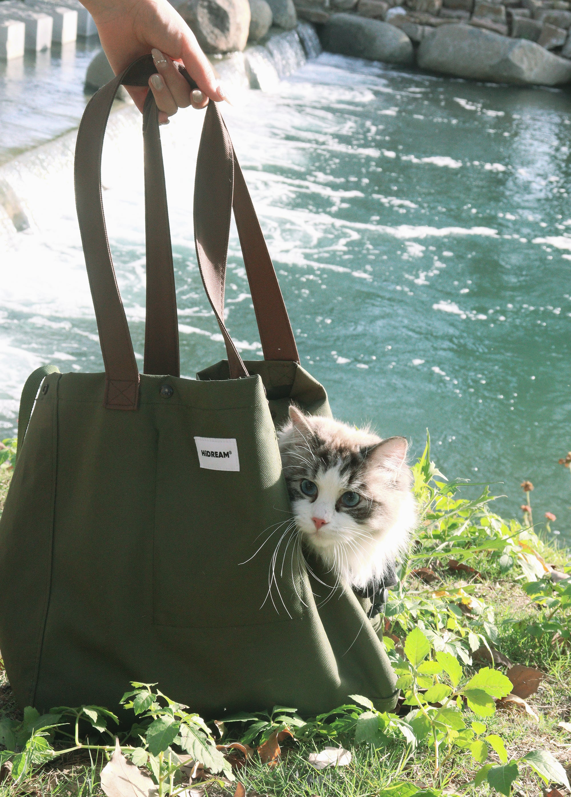 How to get a scared cat into carrier